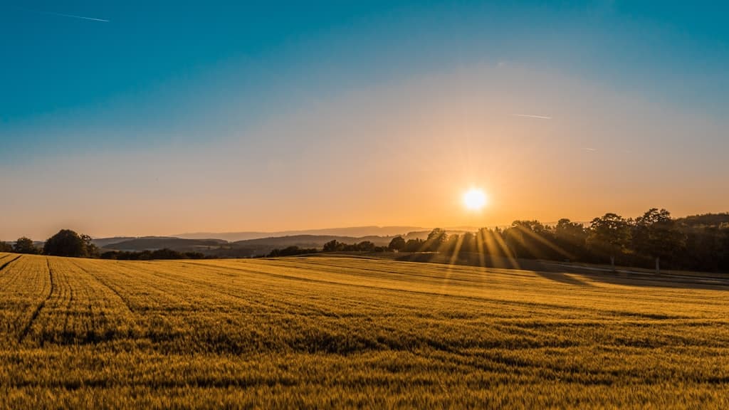 Natural Sun Drying